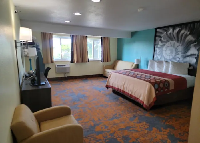 Super8 By Wyndham Nearby Clearwater St Petersburg International Airport