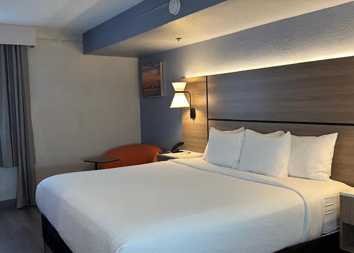 La Quinta By Wyndham St Petersburg-Clearwater